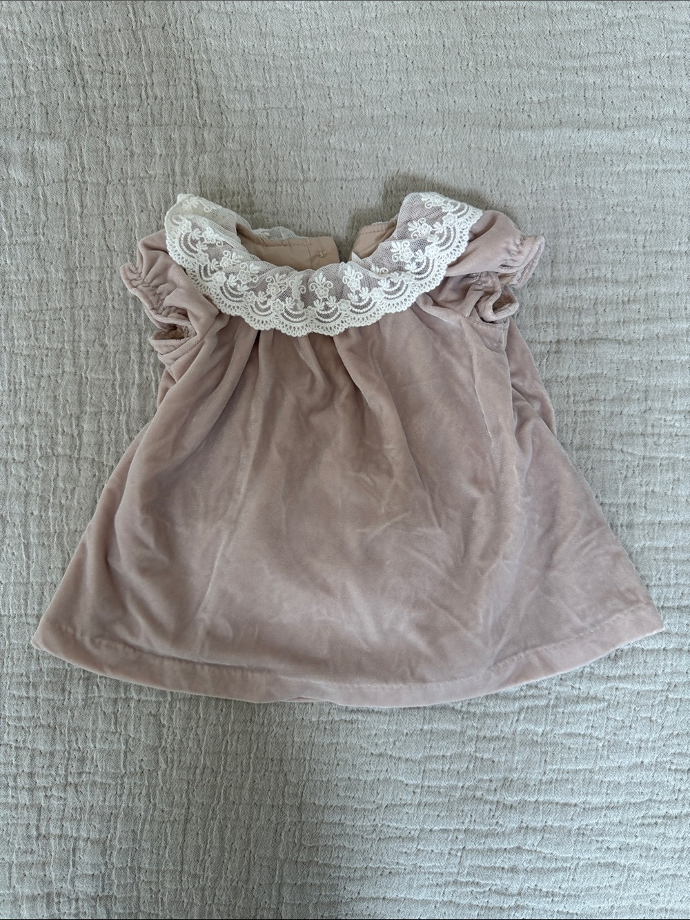 Janie and Jack Dusty Rose Lace Collar Top